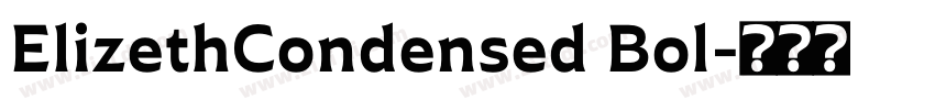 ElizethCondensed Bol字体转换